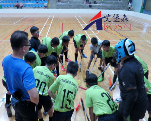 旱地冰球場(chǎng)圍欄